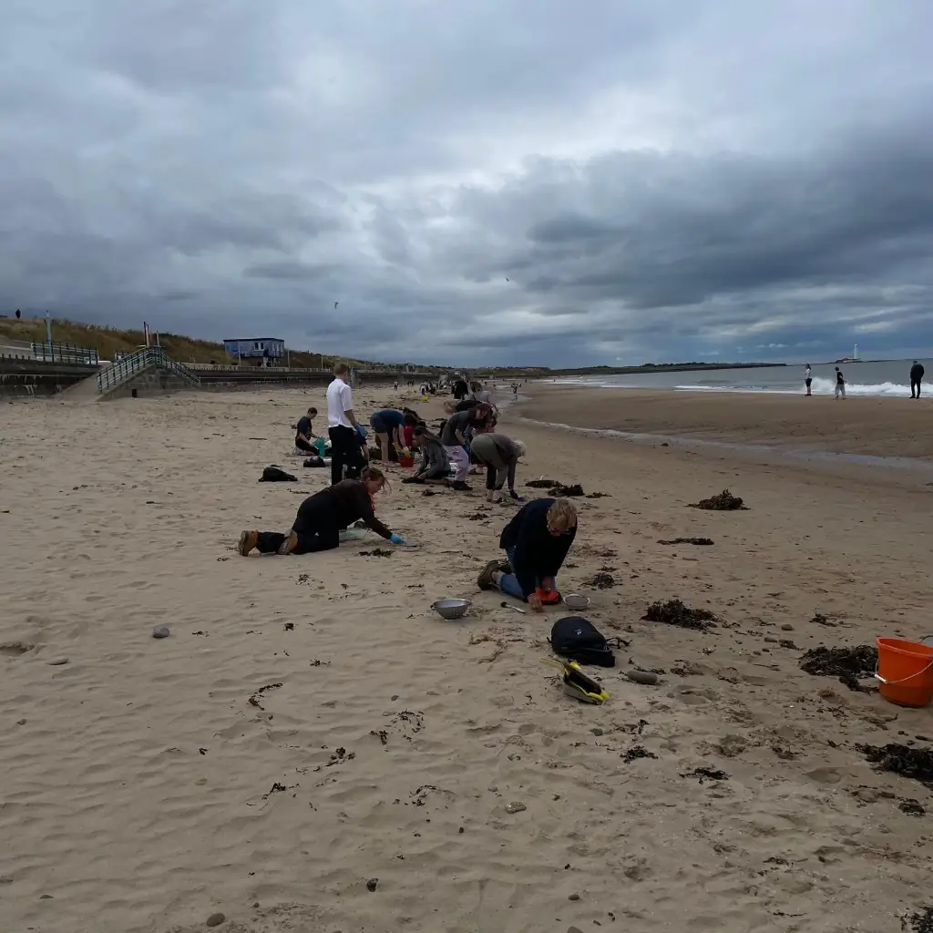 Volunteers cleaning the beach with St Mary’s Lighthouse visible in the distance